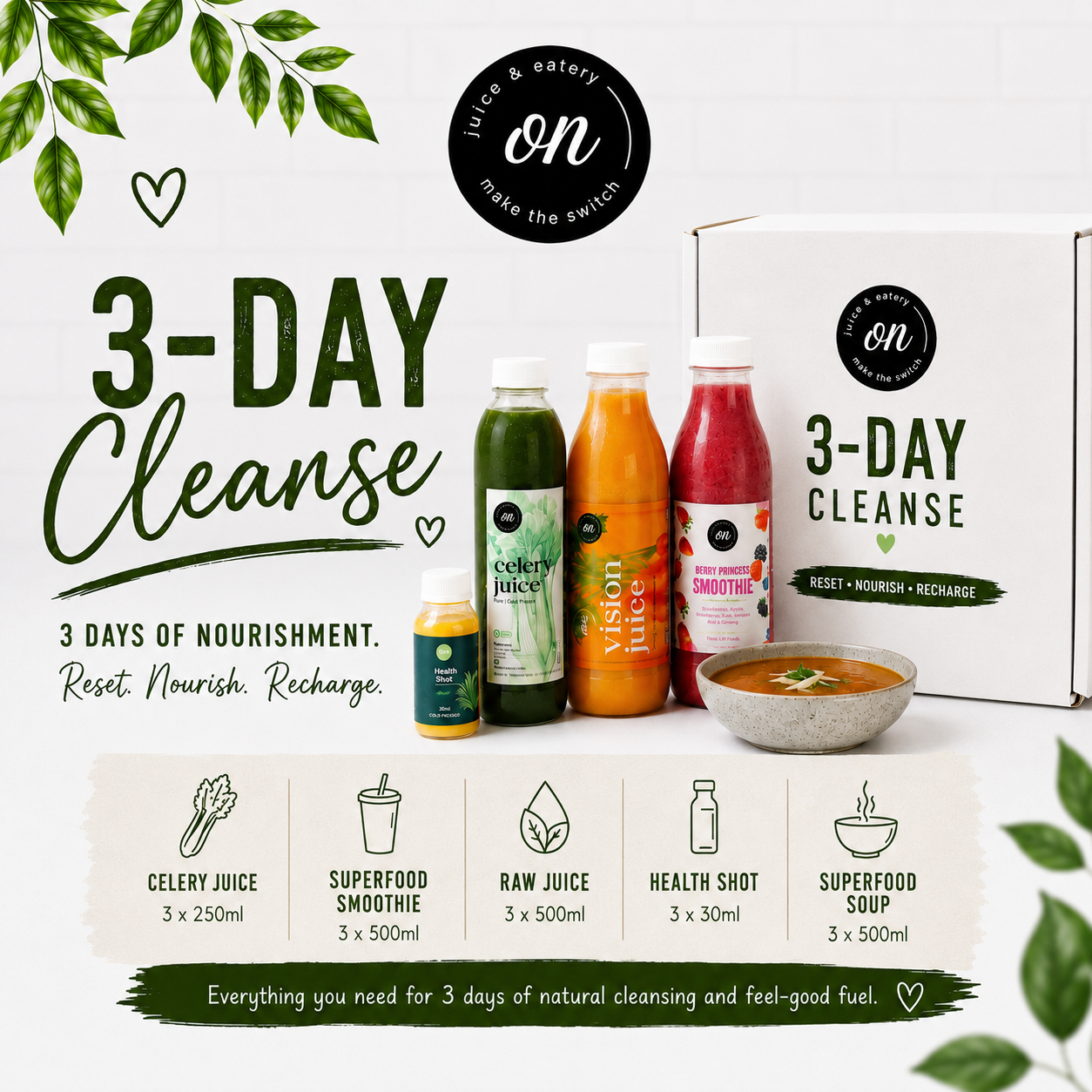 3 DAY CLEANSE BOX