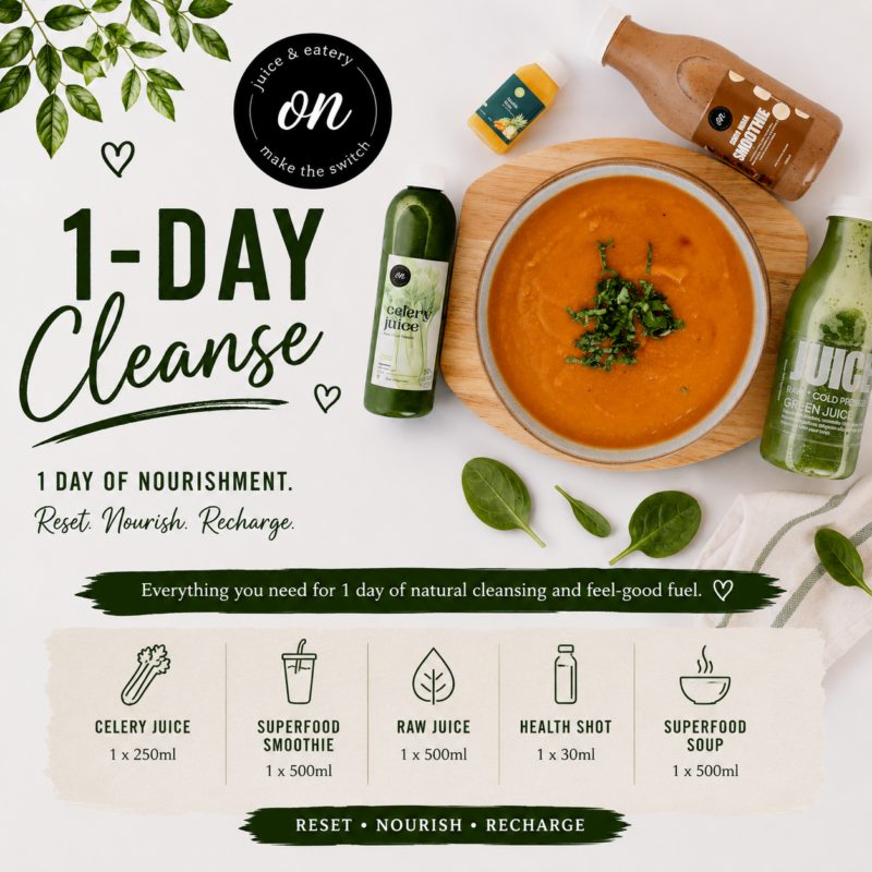1 DAY CLEANSE BOX